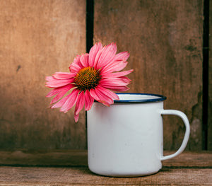 https://www.pexels.com/@nietjuh/